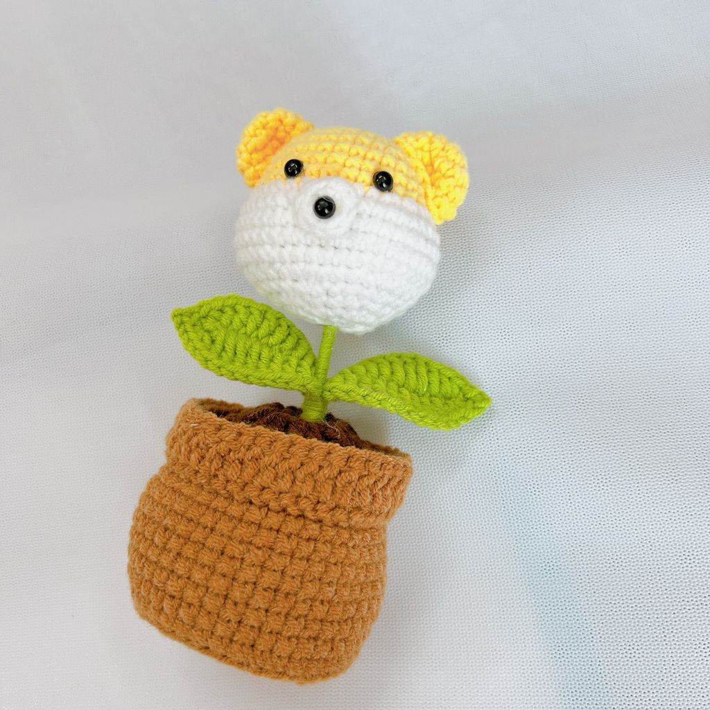 Chậu Len Gấu Vàng