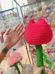 Big Size Hoa Tulip Nhung Đũa