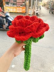 Big Size Hoa Hồng Nhung Đũa