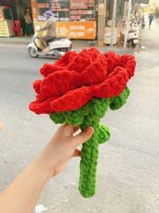 Big Size Hoa Hồng Nhung Đũa