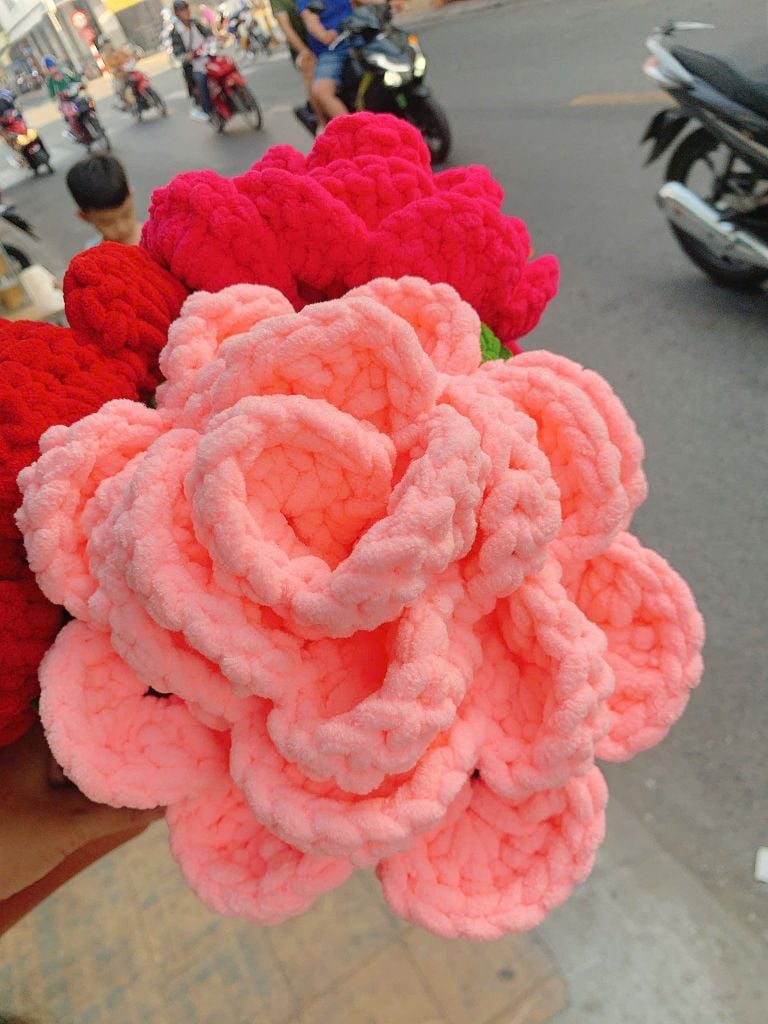 Big Size Hoa Hồng Nhung Đũa