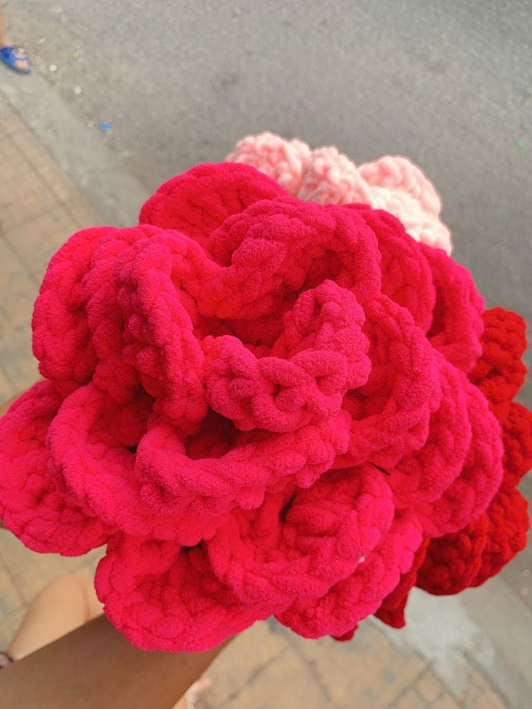 Big Size Hoa Hồng Nhung Đũa