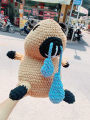 Thú Bông Capypara Nhỏ Mũi (38cm x 42cm)