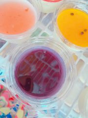 Food & Drinks Panna Cotta Việt Quất