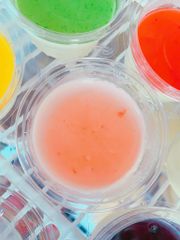 Food & Drinks Panna Cotta Vải