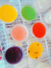 Food & Drinks Panna Cotta Dâu