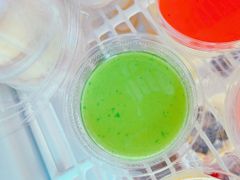 Food & Drinks Panna Cotta Kiwi