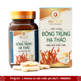  Viên nang Đông Trùng Hạ Thảo Hector 100% nguyên chất 30 viên 