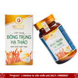  Viên nang Đông Trùng Hạ Thảo Hector 100% nguyên chất 30 viên 