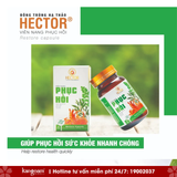  Viên Nang Phục Hồi Sức Khỏe Hector Lọ 30 Viên 