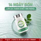  Viên uống thải độc và tái tạo ta Ketoskin 60 viên 