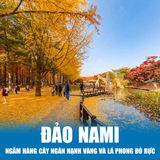  HÀN QUỐC BUSAN – DAEGU - SEOUL | 06 NGÀY 05 ĐÊM 