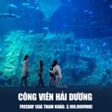  HONGKONG FREEDAY | 4 NGÀY 3 ĐÊM 
