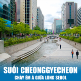  HÀN QUỐC BUSAN – DAEGU - SEOUL | 06 NGÀY 05 ĐÊM 