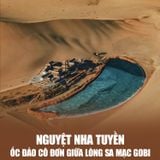  ĐÔN HOÀNG - GIA DỤC QUAN - TỬU TUYỀN - TRƯƠNG DỊCH | 6 NGÀY 5 ĐÊM 