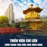  HONGKONG FREEDAY | 4 NGÀY 3 ĐÊM 