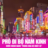  THƯỢNG HẢI - DISNEYLAND - Ô TRẤN  | 5 NGÀY 4 ĐÊM 