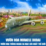  DUBAI - ABU DHABI | 5 NGÀY 4 ĐÊM 