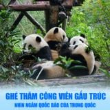  THÀNH ĐÔ – CỬU TRẠI CÂU - CÔNG VIÊN GẤU TRÚC – LẠC SƠN | 06 NGÀY 05 ĐÊM 