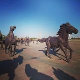  Tour du lịch Mông Cổ - Khám phá thảo nguyên Ordos 5 Ngày 4 Đêm 