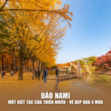  HÀN QUỐC SEOUL – NAMI – EVERLAND | 05 NGÀY 04 ĐÊM 