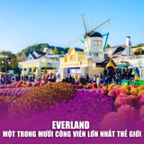  HÀN QUỐC SEOUL – NAMI – EVERLAND | 05 NGÀY 04 ĐÊM 