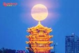  VŨ HÁN - HOÀNG LẠC LÂU - GIANG TÂY 