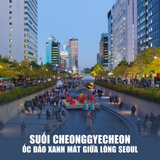  HÀN QUỐC SEOUL – NAMI – EVERLAND | 05 NGÀY 04 ĐÊM 