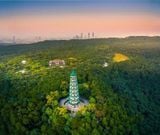  Tour du lịch Trung Quốc Nam Ninh - Quế Lâm – Dương Sóc 5 Ngày 4 đêm 
