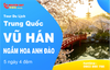  HÀNH TRÌNH NGẮM HOA ANH ĐÀO VỤ HÁN (5 NGÀY) 