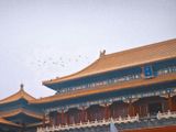  Tour du lịch Trung Quốc Bắc Kinh – Tô Châu – Hàng Châu - Thượng Hải 7 Ngày 6 Đêm 