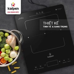 Bếp Từ Đơn Kalpen ICK-1668, 2200W