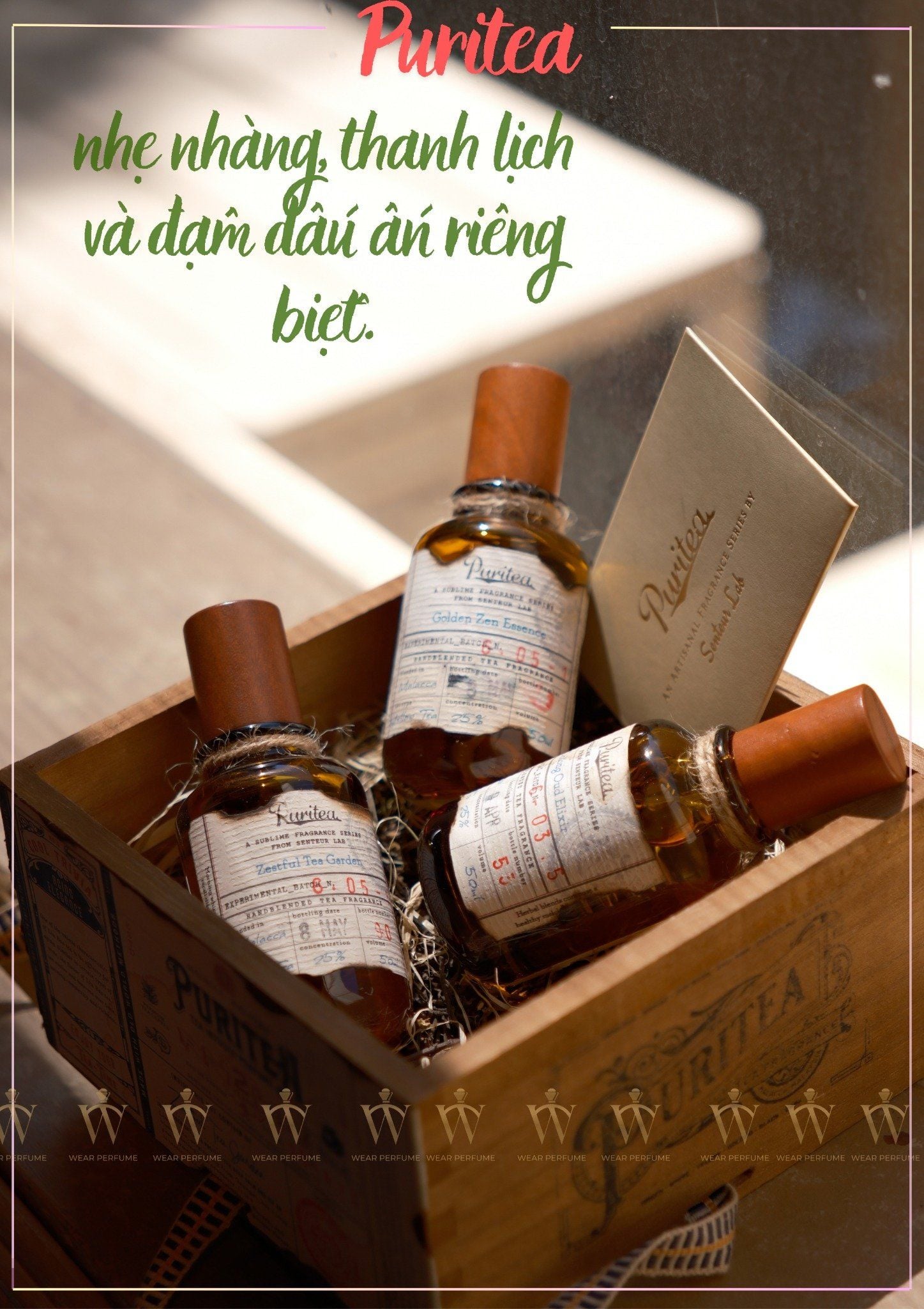  Puritea Silver Needle Symphony (White Tea) 