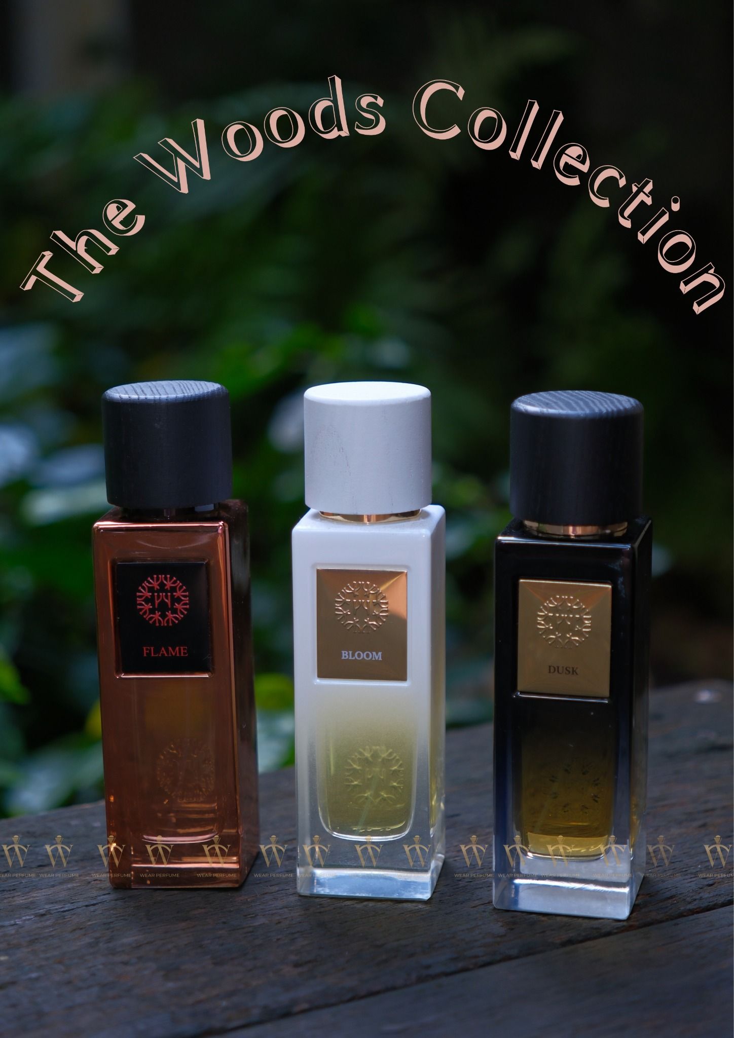  The Woods Collection By Natural Bloom EDP 