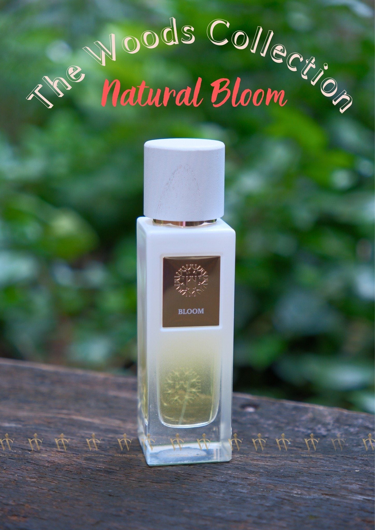  The Woods Collection By Natural Bloom EDP 