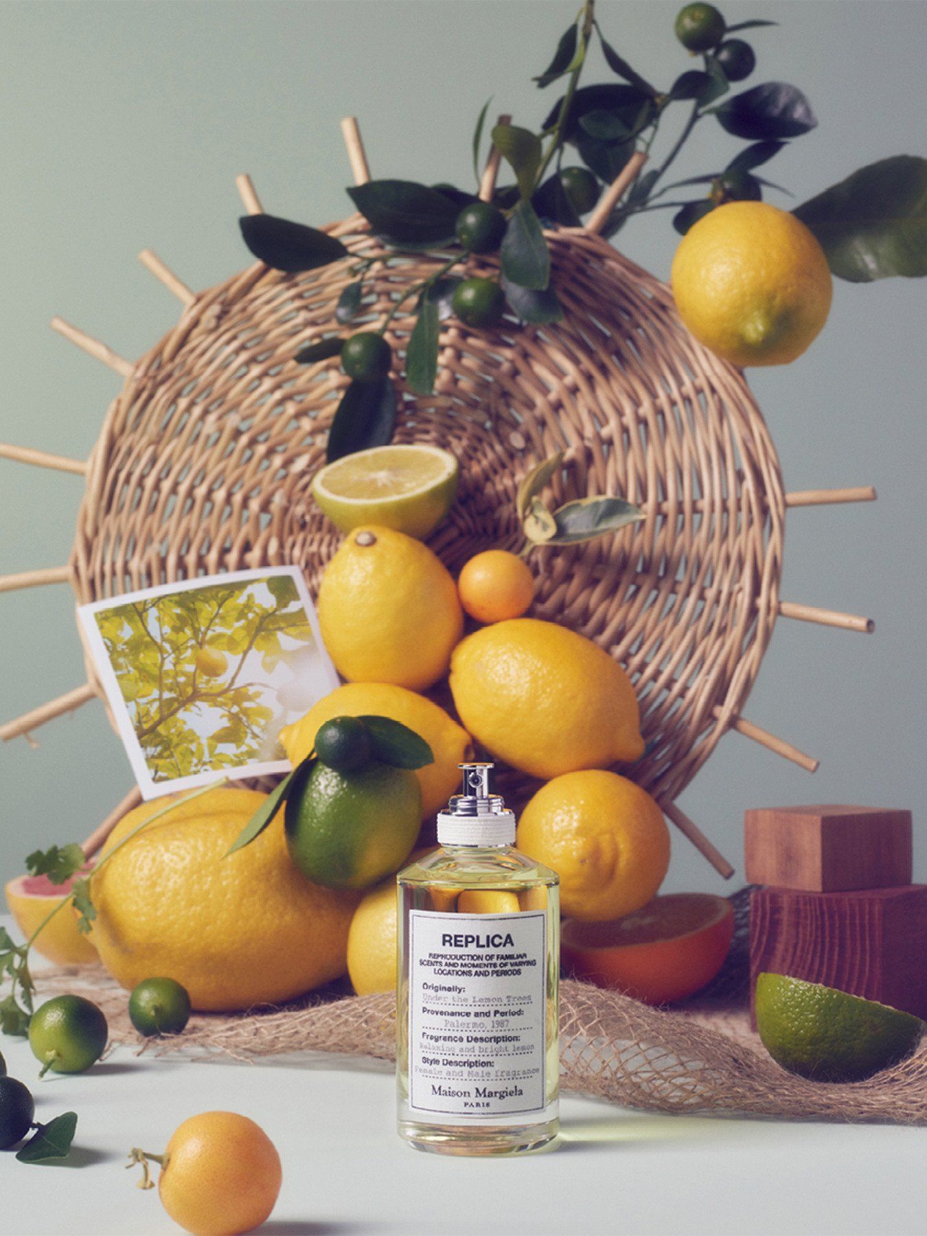  Maison Margiela Replica Under The Lemon Trees 