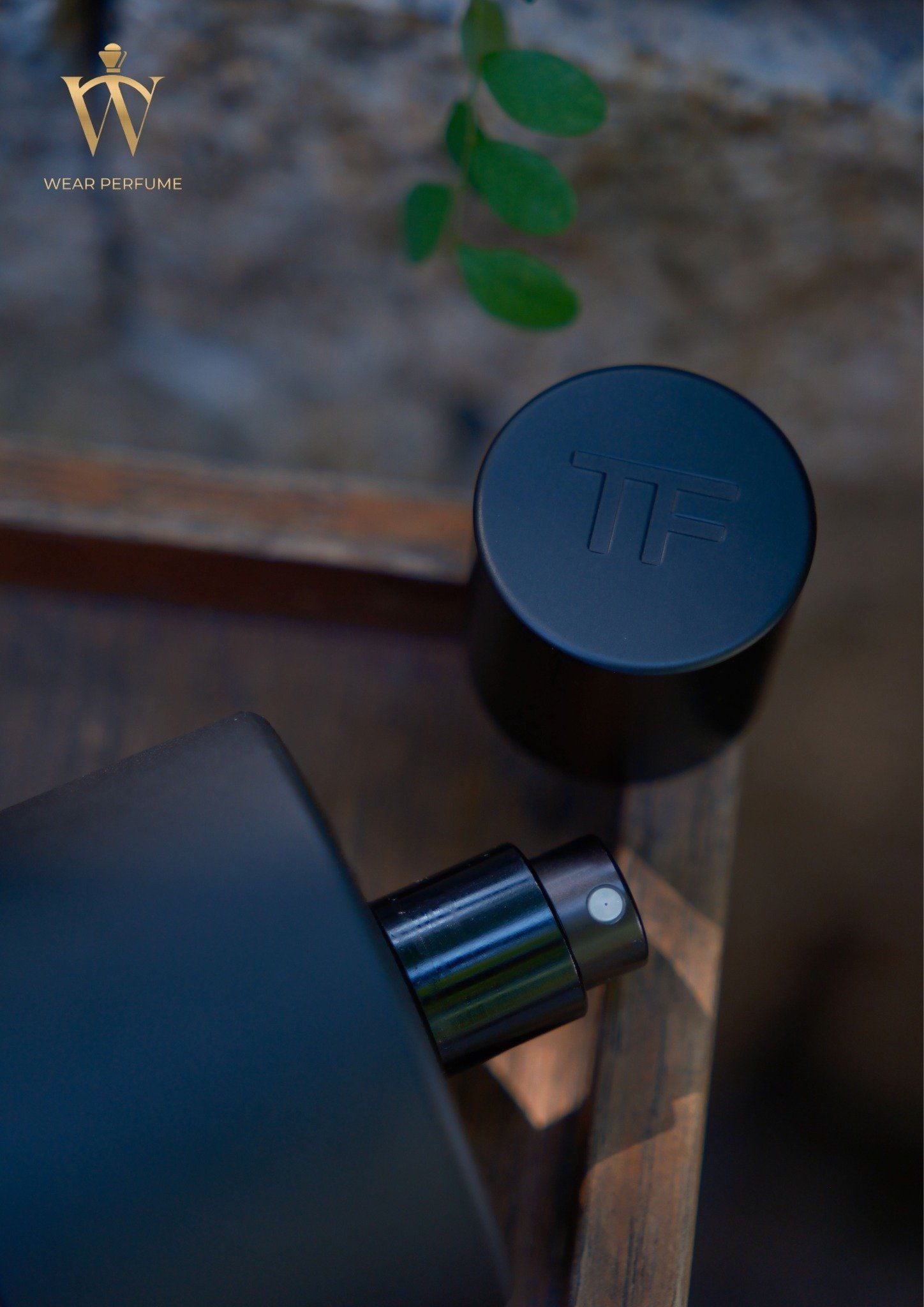  Tom Ford Ombré Leather EDP 