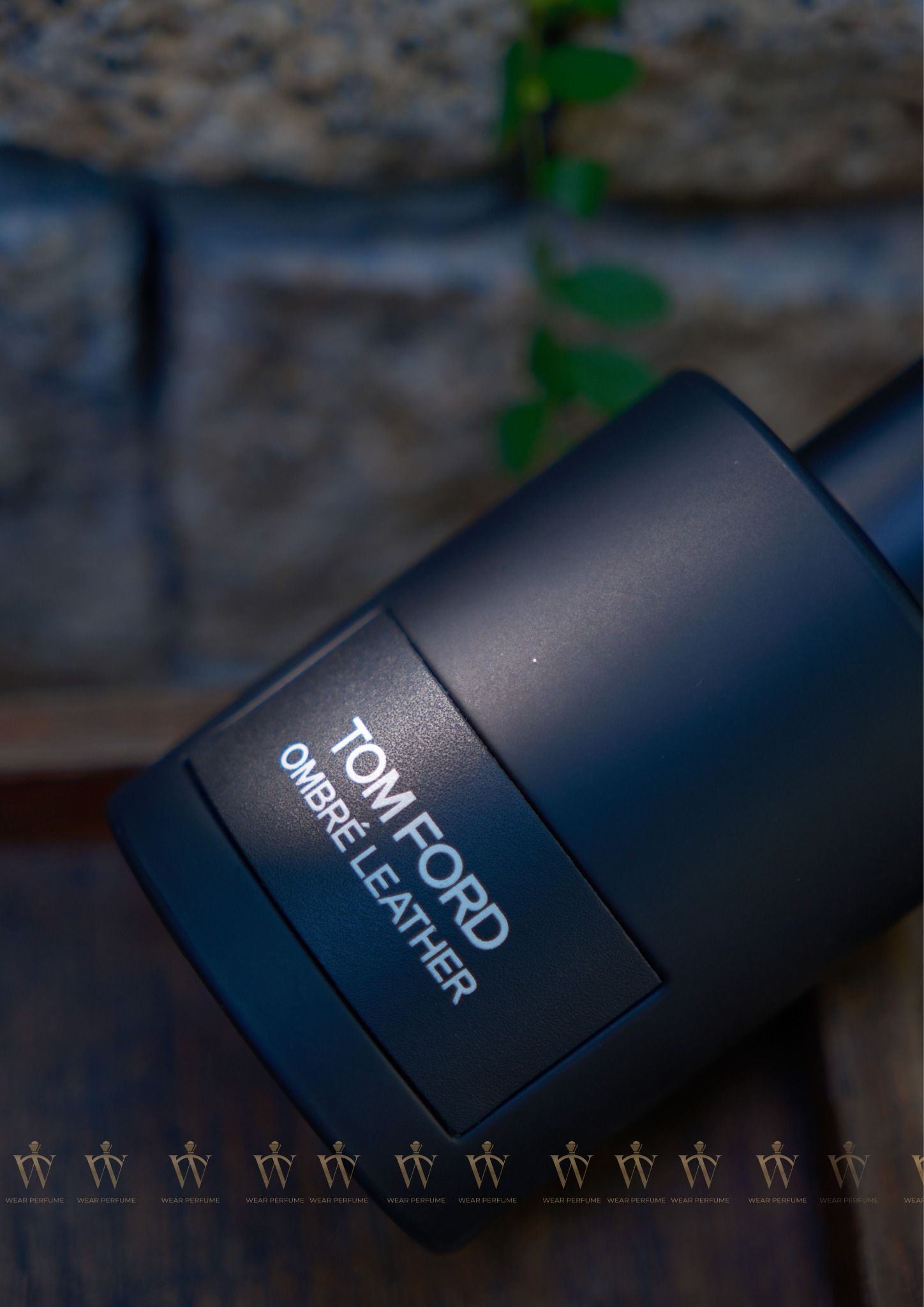  Tom Ford Ombré Leather EDP 