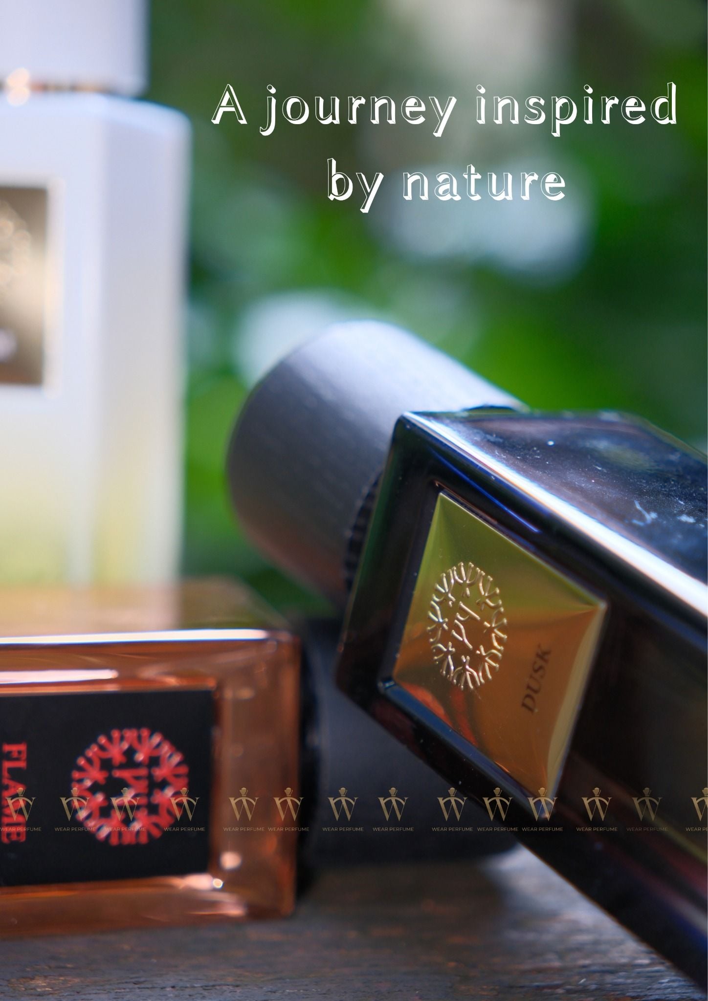  The Woods Collection By Natural Flame EDP 