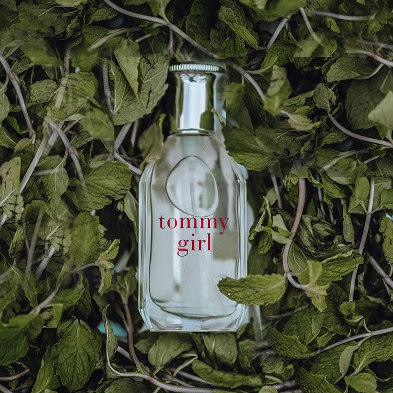  Tommy Hilfiger Tommy Girl EDT 