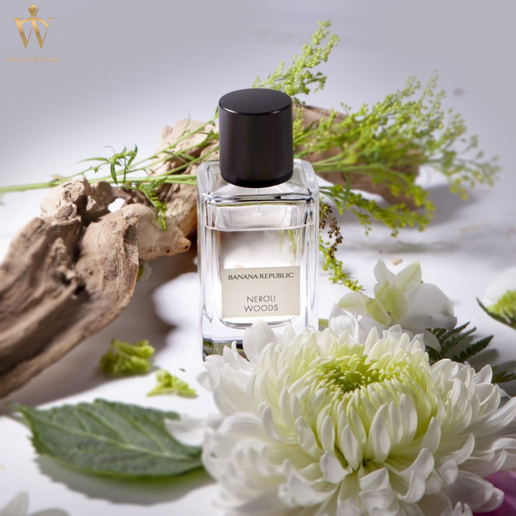  Banana Republic Neroli Woods 