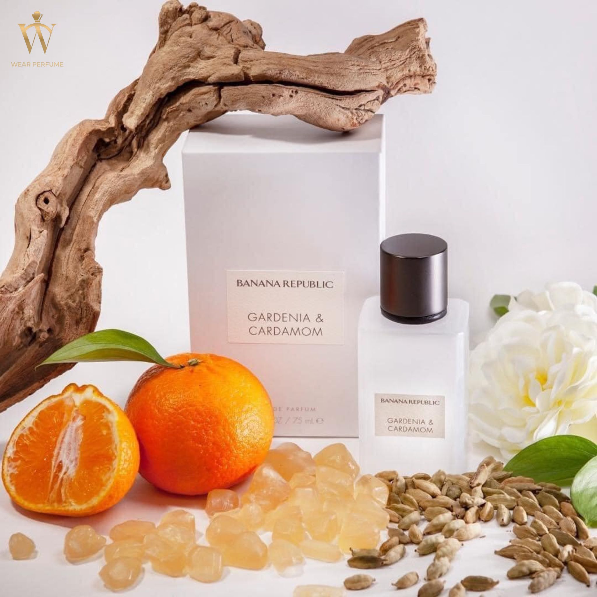  Banana Republic Gardenia & Cardamom 