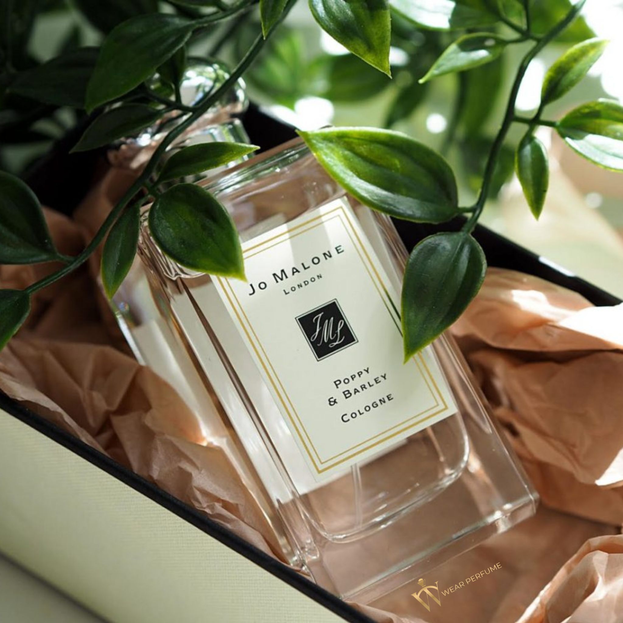  Jo Malone Poppy & Barley Cologne 