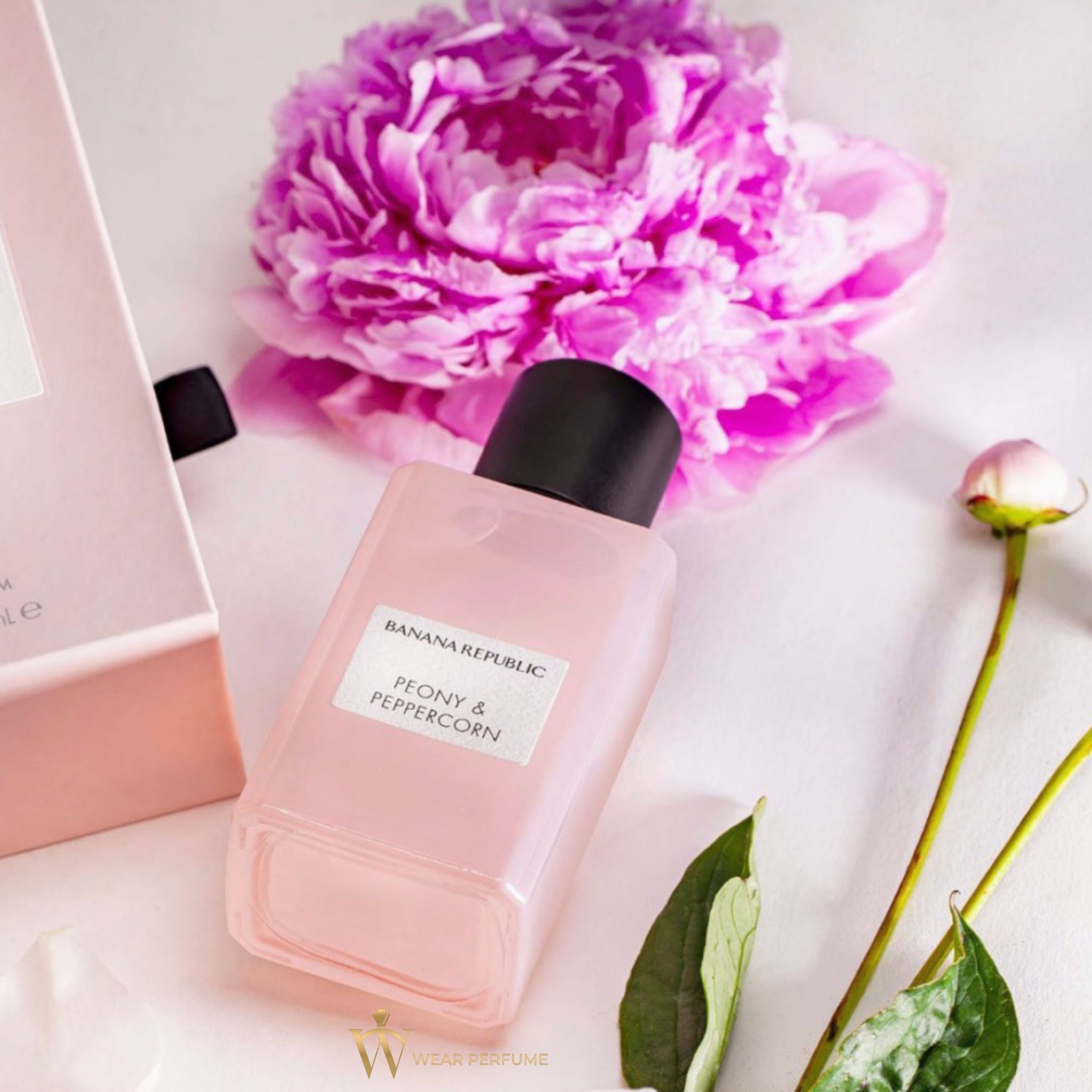  Banana Republic Peony & Peppercorn 