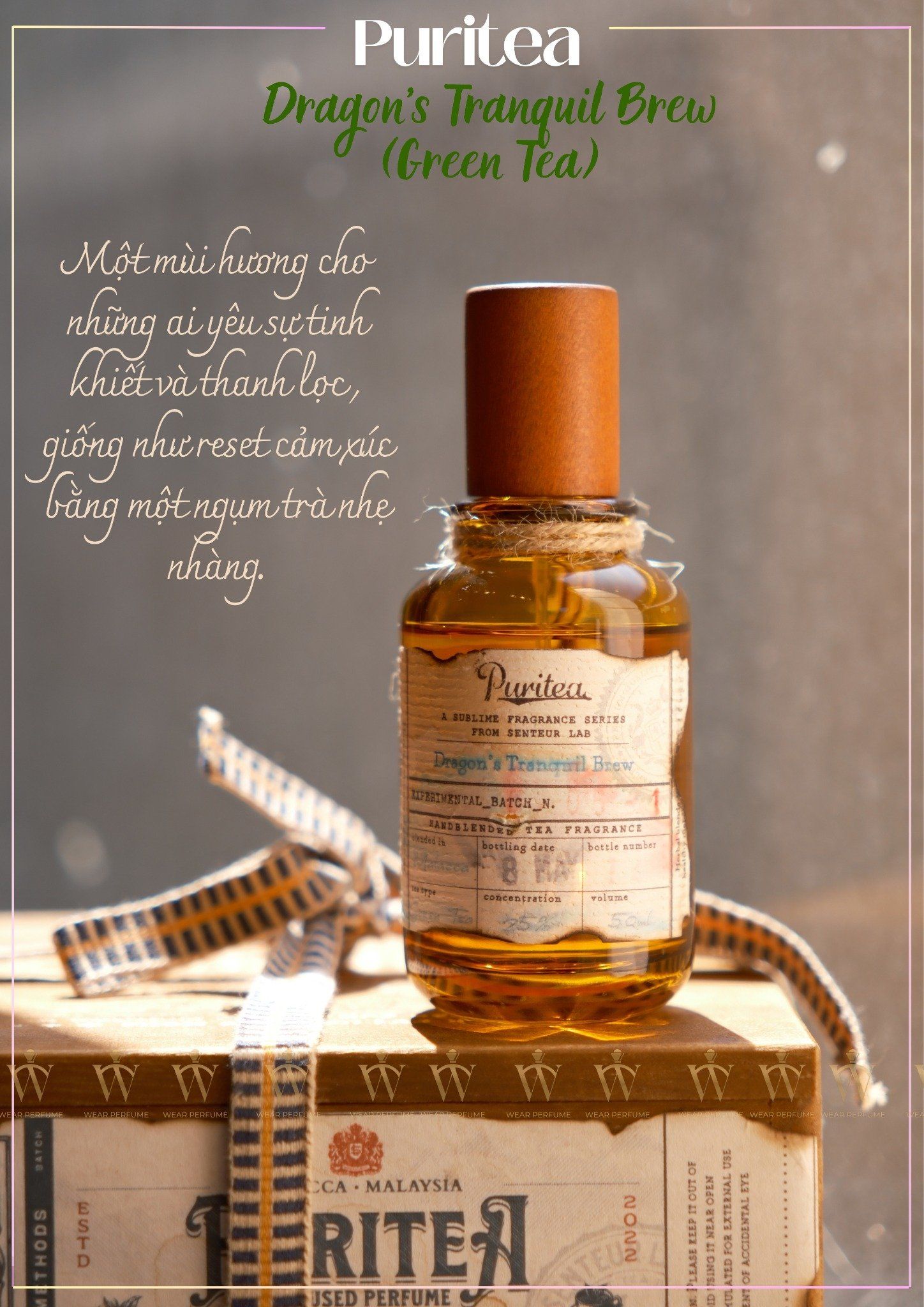  Puritea Dragon’s Tranquil Brew (Green Tea) 