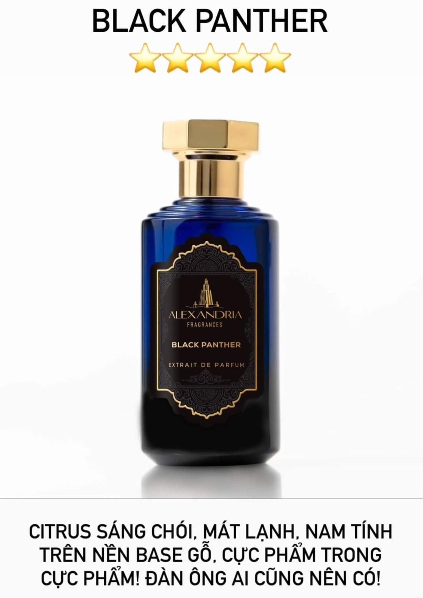  Alexandria Fragrances Black Panther 