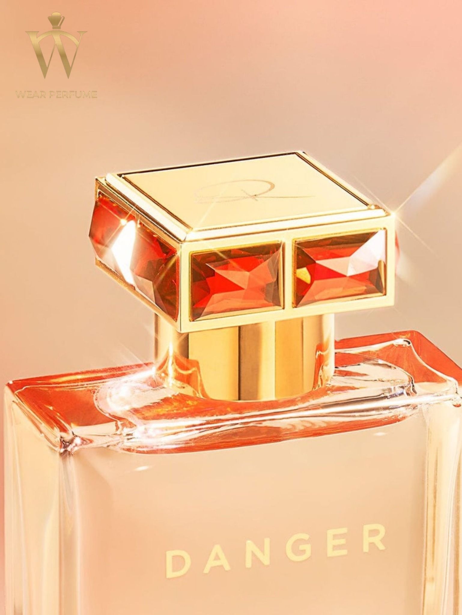  Roja Parfums Danger EDP 75ml ( New 2023 ) 