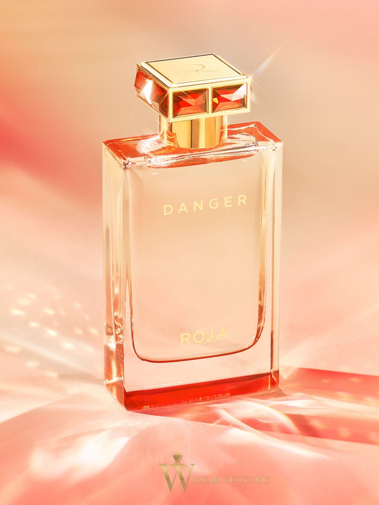  Roja Parfums Danger EDP 75ml ( New 2023 ) 