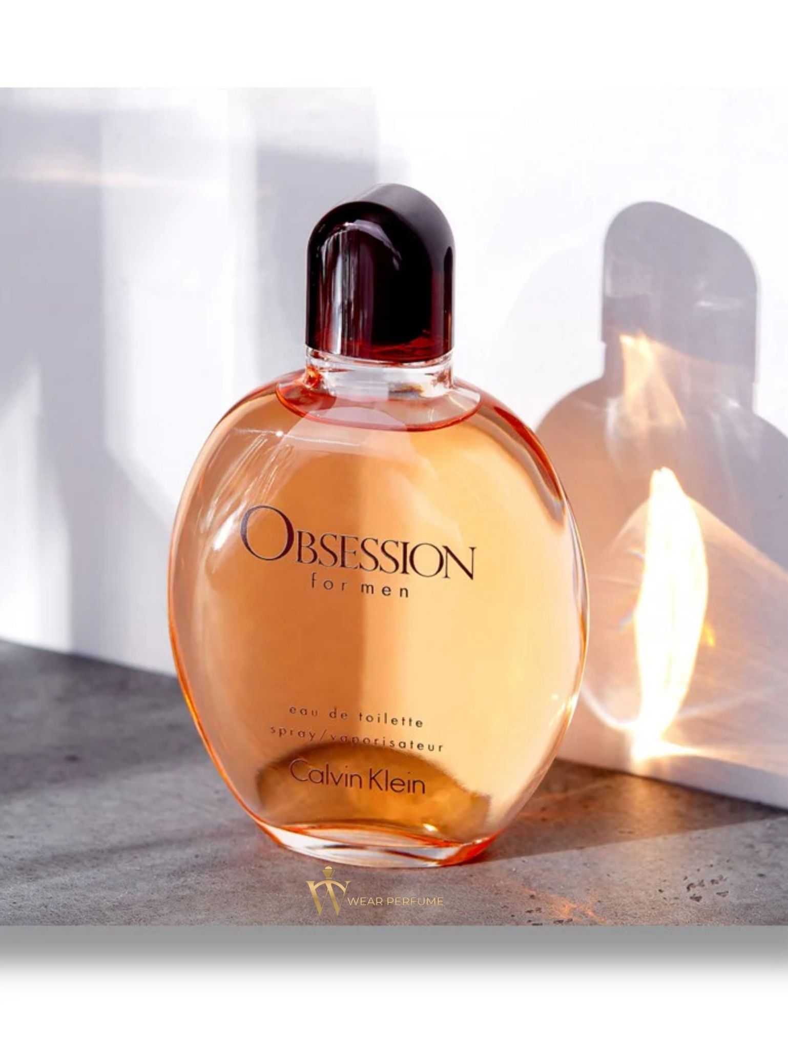  Calvin Klein Obsession For Men 