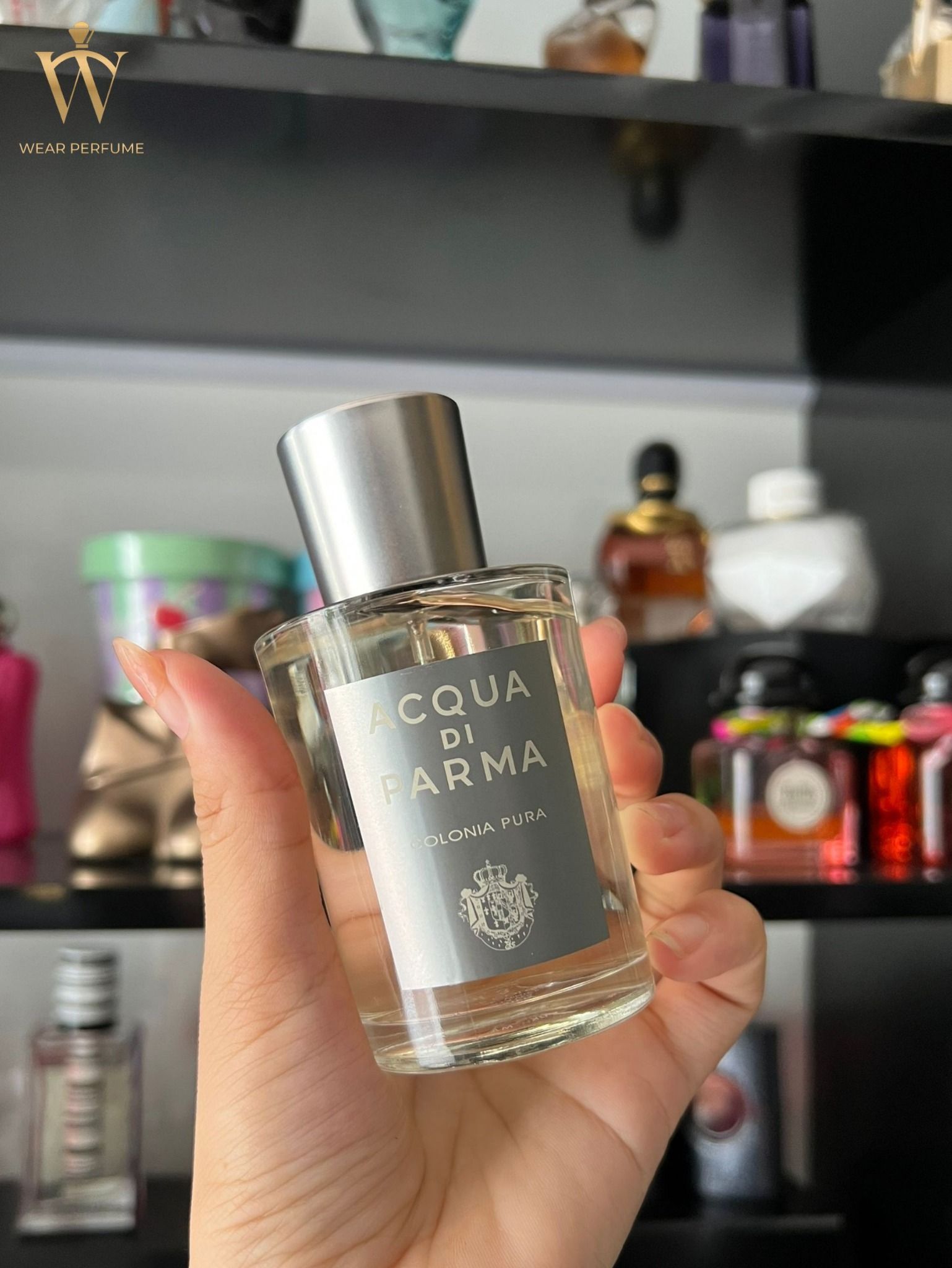  Acqua Di Parma Colonia Pura 
